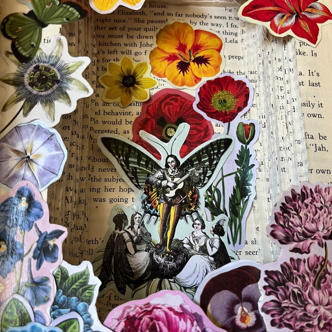 "lock ridge morel" book box