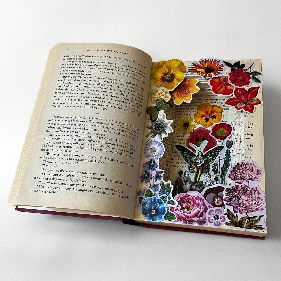 "lock ridge morel" book box