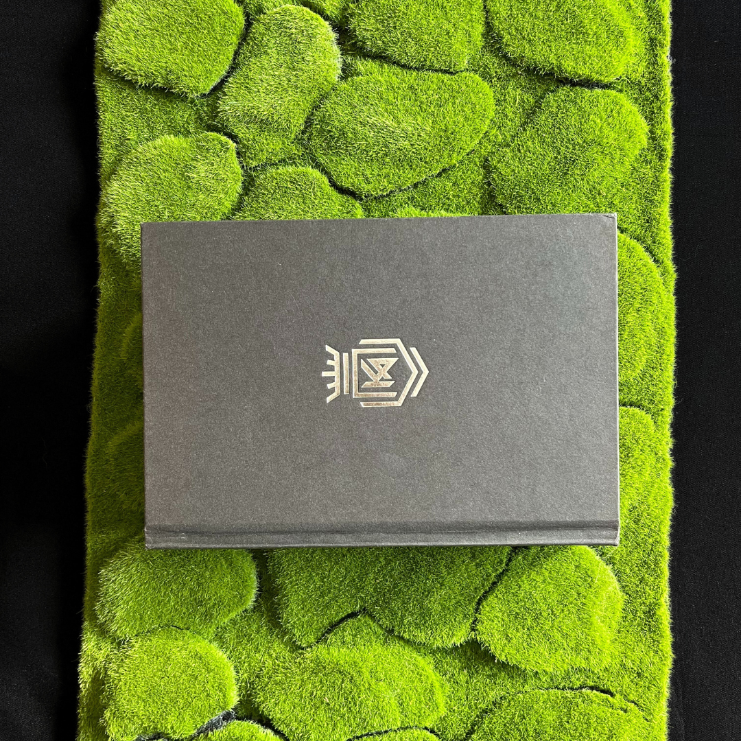 "zombies" book box (halloween series)