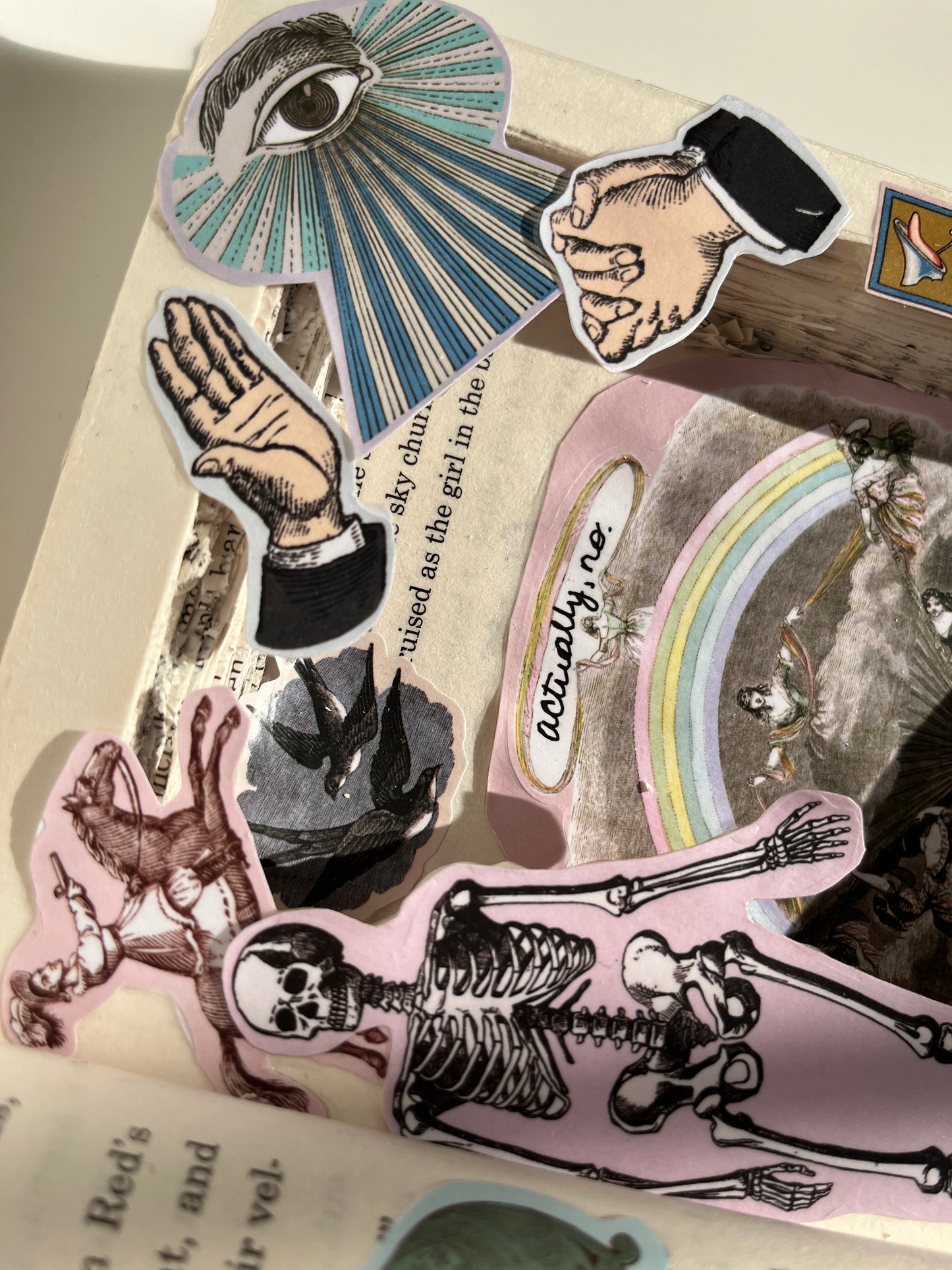 "boundaries" book box