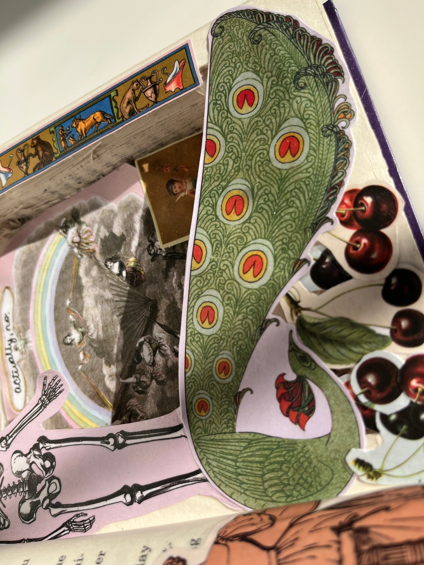 "boundaries" book box