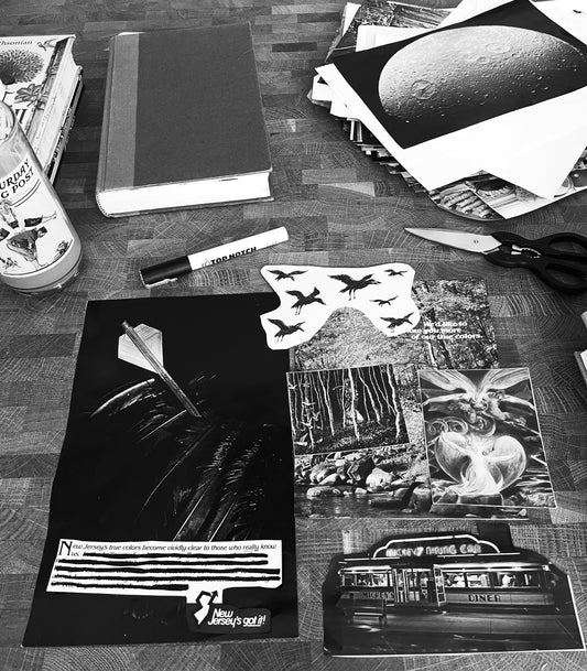 Look What You've Done Book Box representing class trauma, self-abandonment, and the black swan in a sea of white