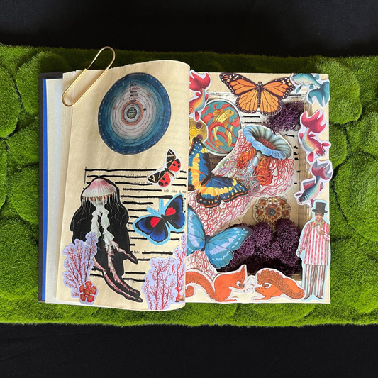 "padre" book box