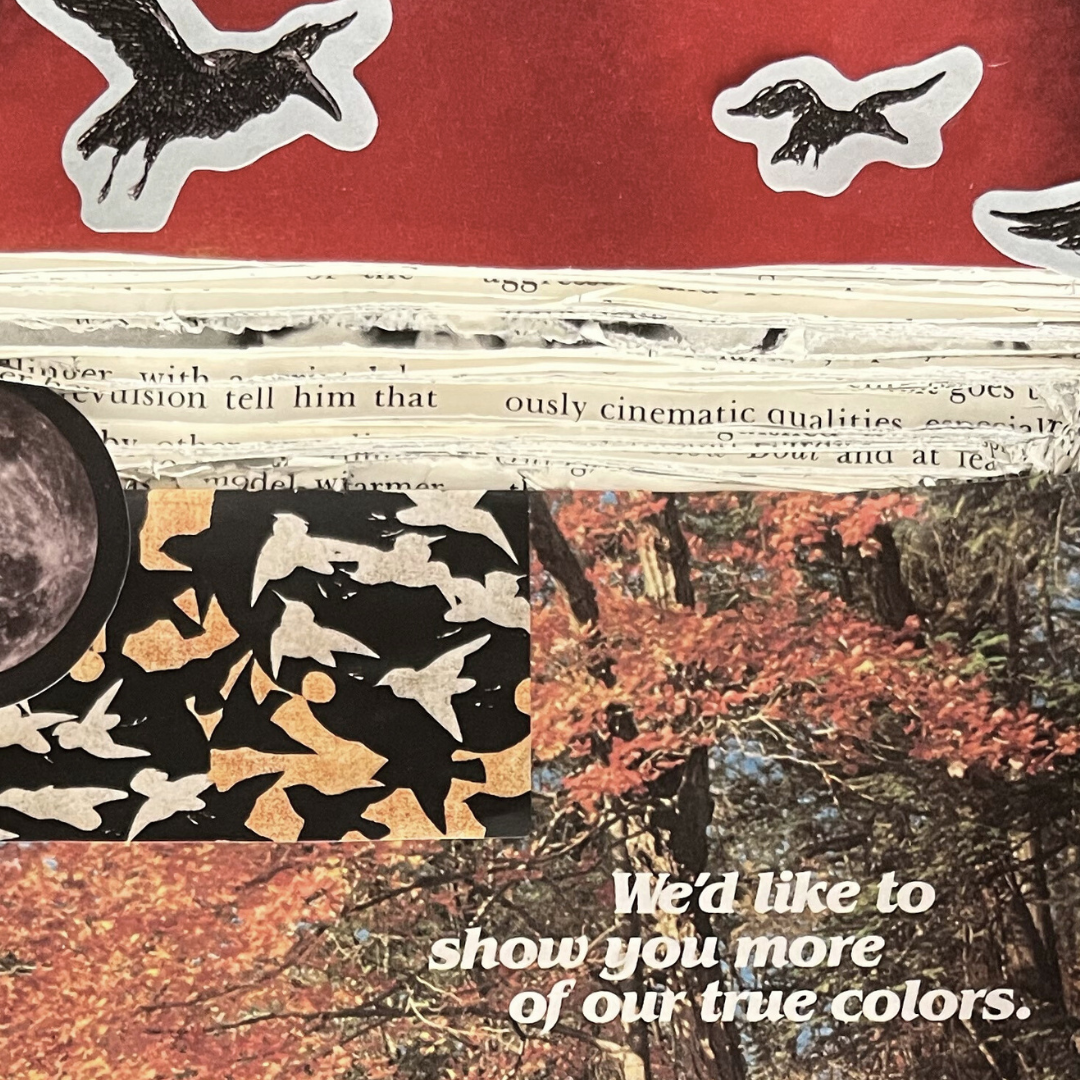 Collage with birds, text, and nature elements on a red background