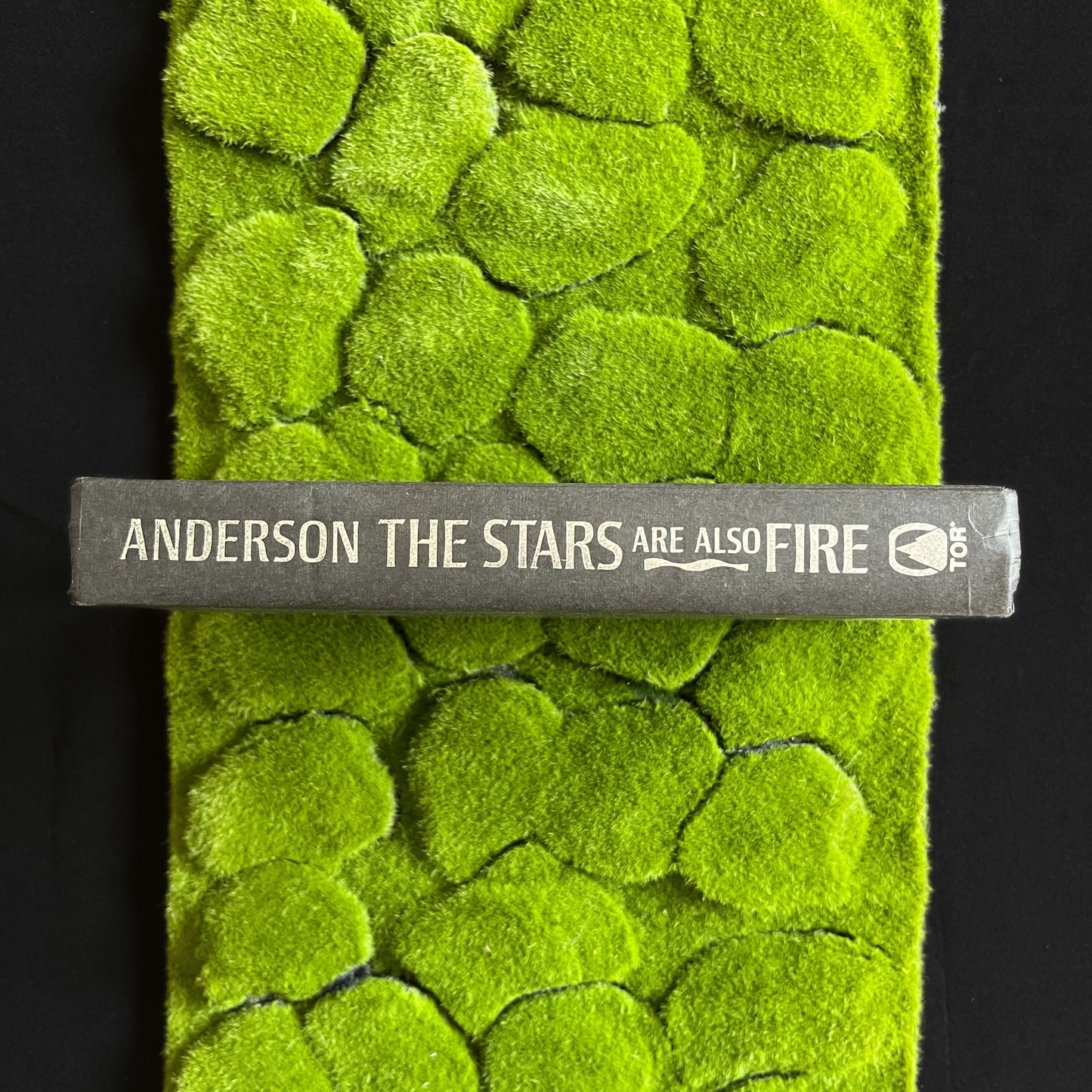 "hat in the ring" book box