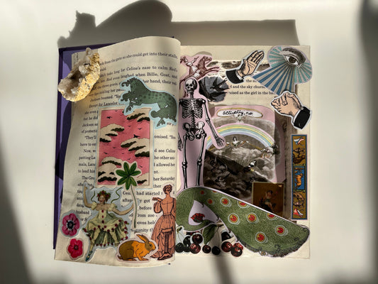 "boundaries" book box