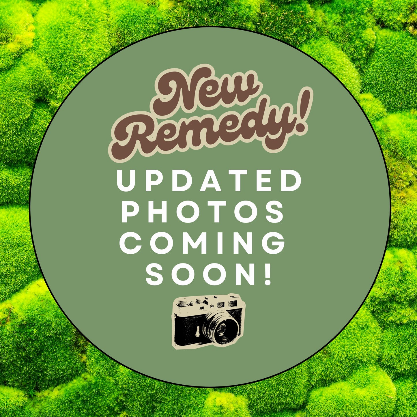 Better Days Tea Bags