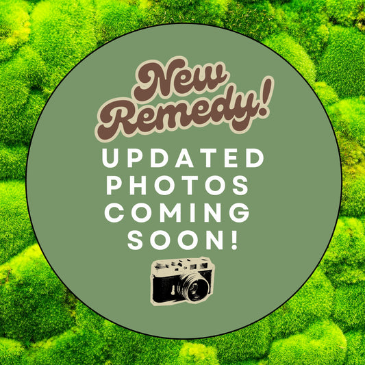 Damn Good Chai (30 servings)